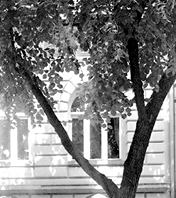 flashbooks Verlag Adresse Solingen